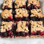 Vegan Berry Crumble Bars