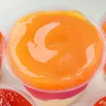 Protein Jello Recipe